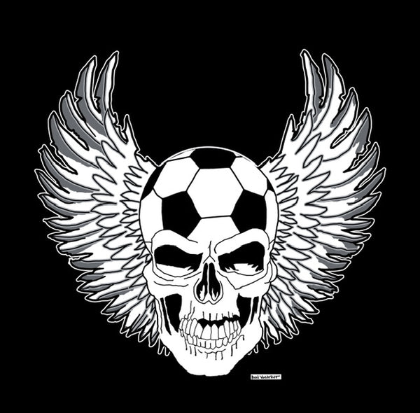 skull and wings