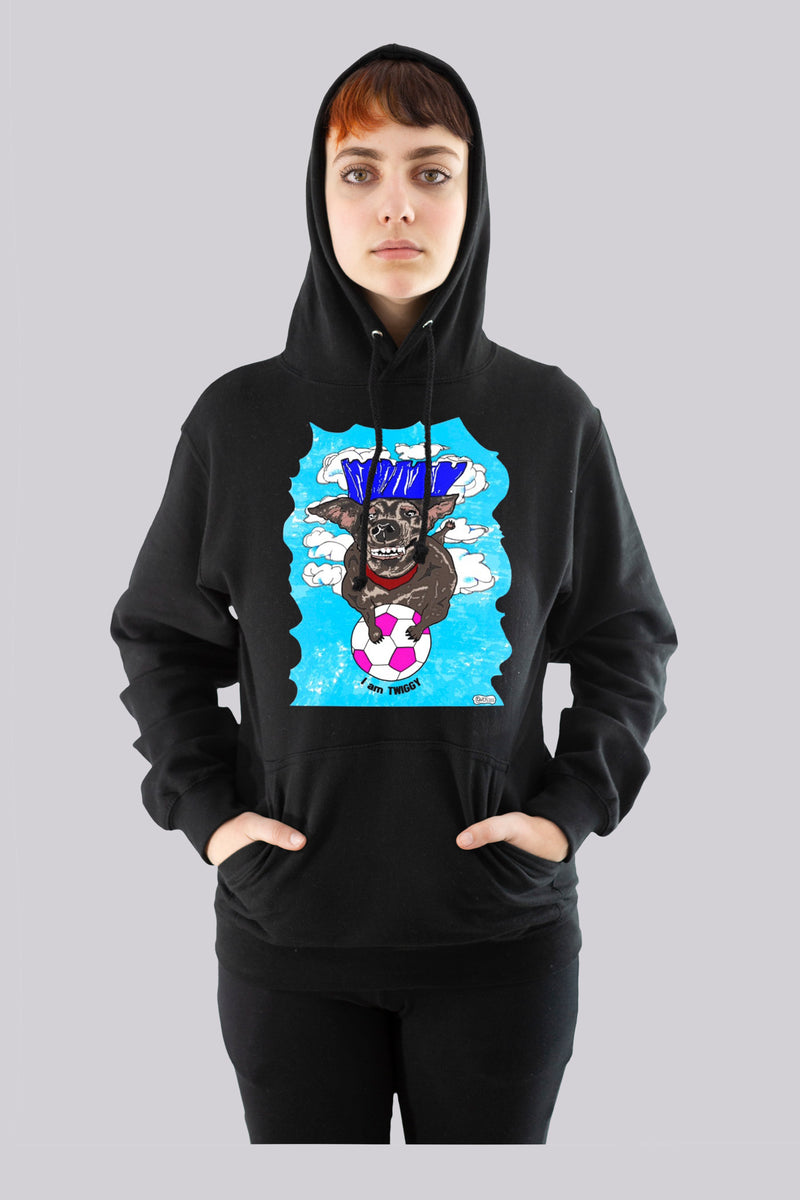 Twiggy is flying pullover hoodie